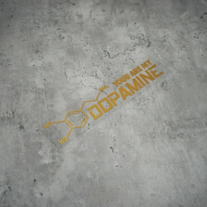 2 stuks 'You Are My Dopamine'  - Home Decor Dopamine recensie en prijs